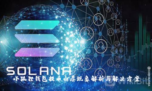 小狐狸钱包提币白屏现象解析与解决方案