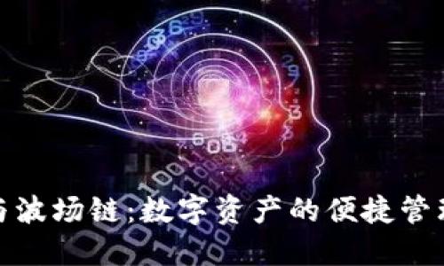 小狐狸钱包与波场链：数字资产的便捷管理与创新机遇