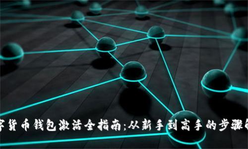数字货币钱包激活全指南：从新手到高手的步骤解析