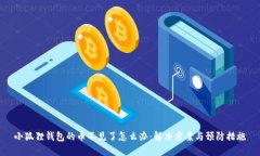 小狐狸钱包的币不见了怎么办：解决方案与预防