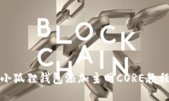 小狐狸钱包添加主网CORE教程