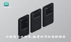 小狐狸与比特币：数字时代的奇妙旅程