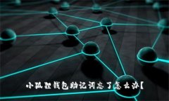 小狐狸钱包助记词忘了怎么办？