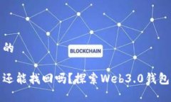 思考一个优质的小狐狸币丢了还能找回吗？探索