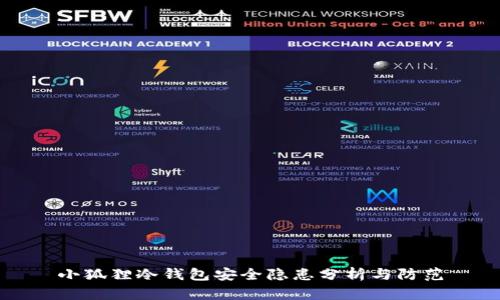 小狐狸冷钱包安全隐患分析与防范