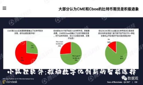 小狐狸软件：推动数字化创新的智能选择