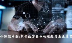 小狐狸币圈：新兴数字货币的崛起与未来展望