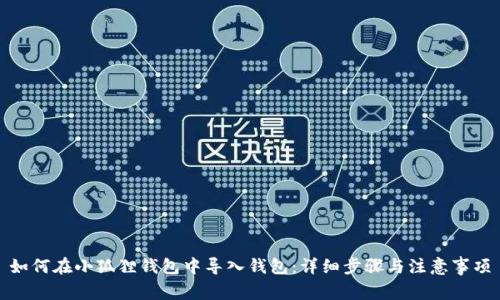 如何在小狐狸钱包中导入钱包：详细步骤与注意事项