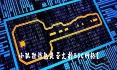 小狐狸钱包是否支持BSC网络？