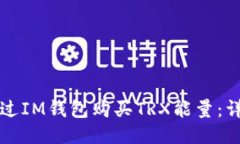 如何通过IM钱包购买TRX能量：详尽指南