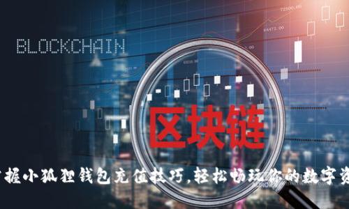   掌握小狐狸钱包充值技巧，轻松畅玩你的数字资产 