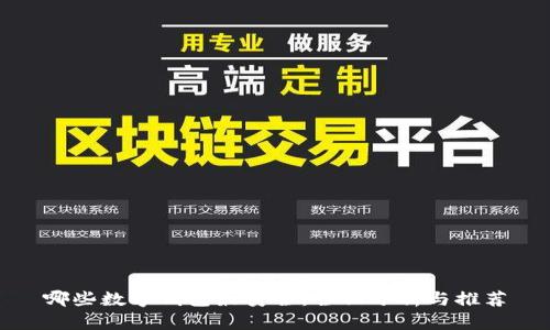 哪些数字钱包最安全：全面分析与推荐