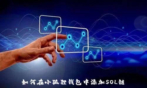   
如何在小狐狸钱包中添加SOL链
