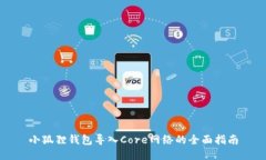 小狐狸钱包导入Core网络的全面指南